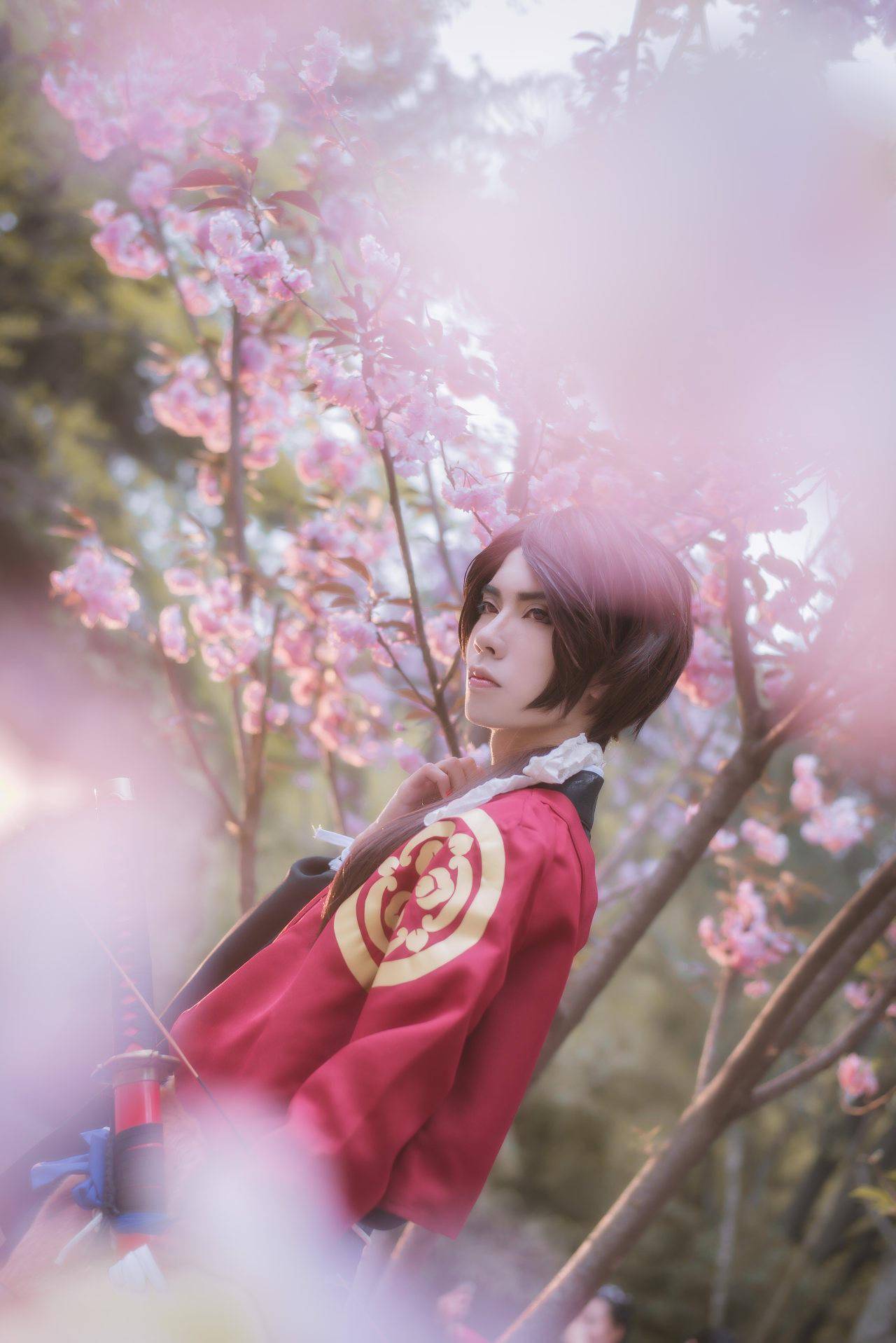 刀剑乱舞加州清光cosplay果然樱花和武士刀也是一种浪漫