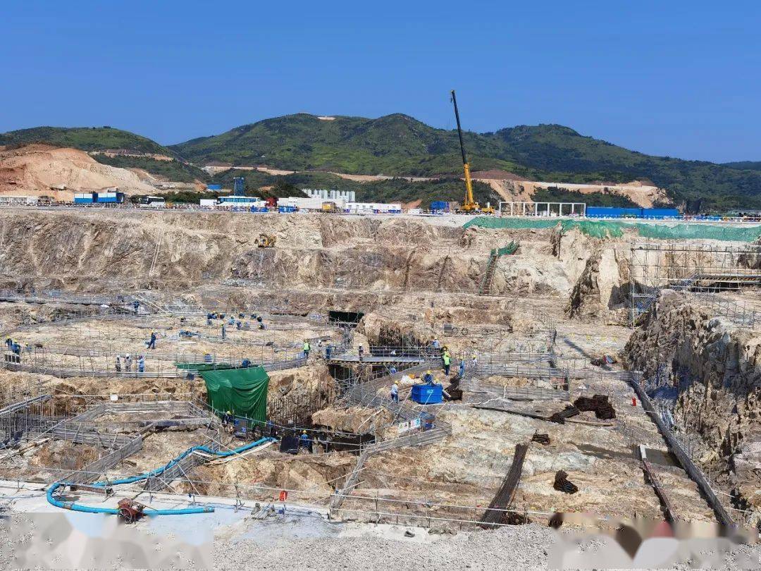 为苍南发展建务实之言!县人大代表开展会前集中视察