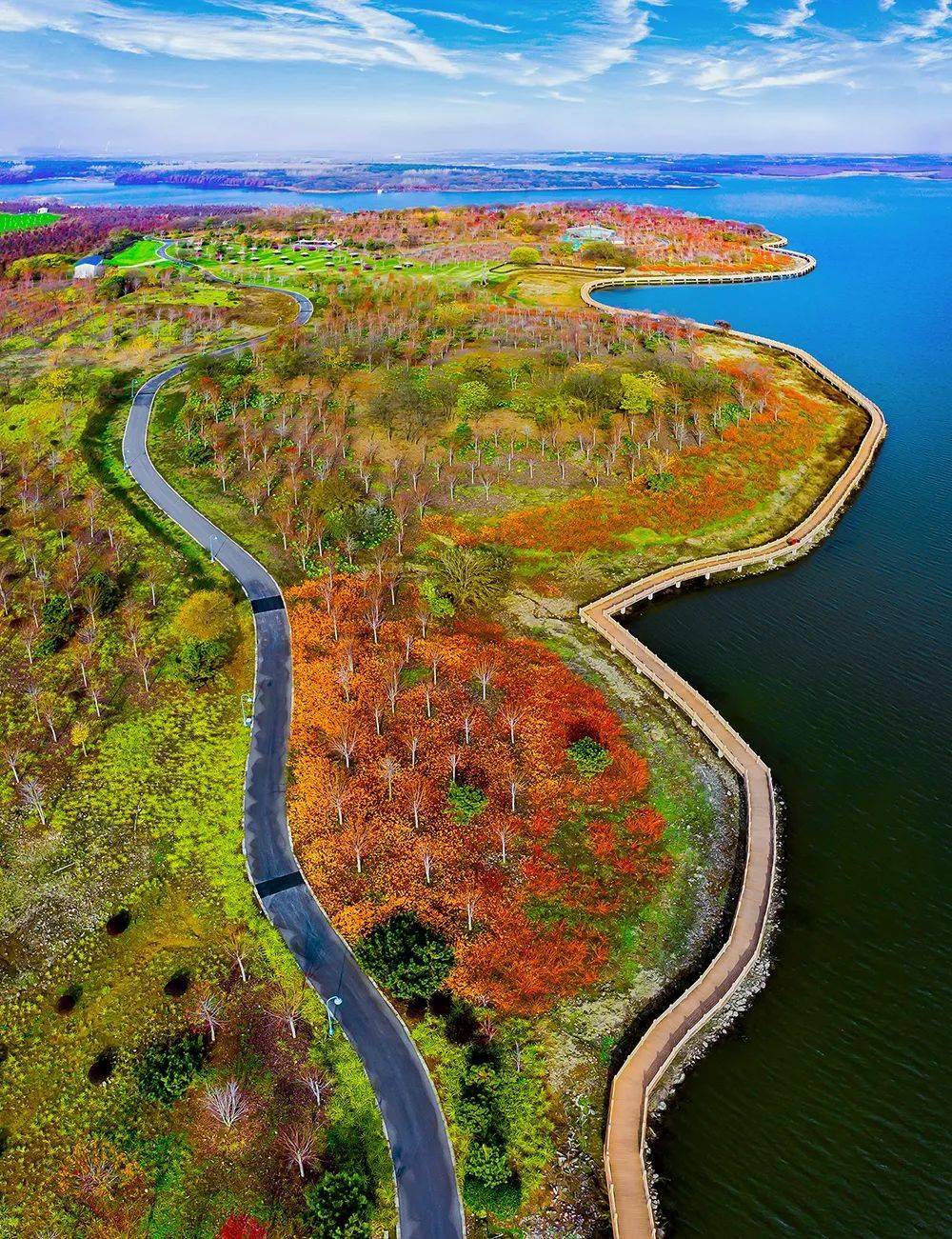 视觉欣赏 | 打卡枫彩漫城!_六合