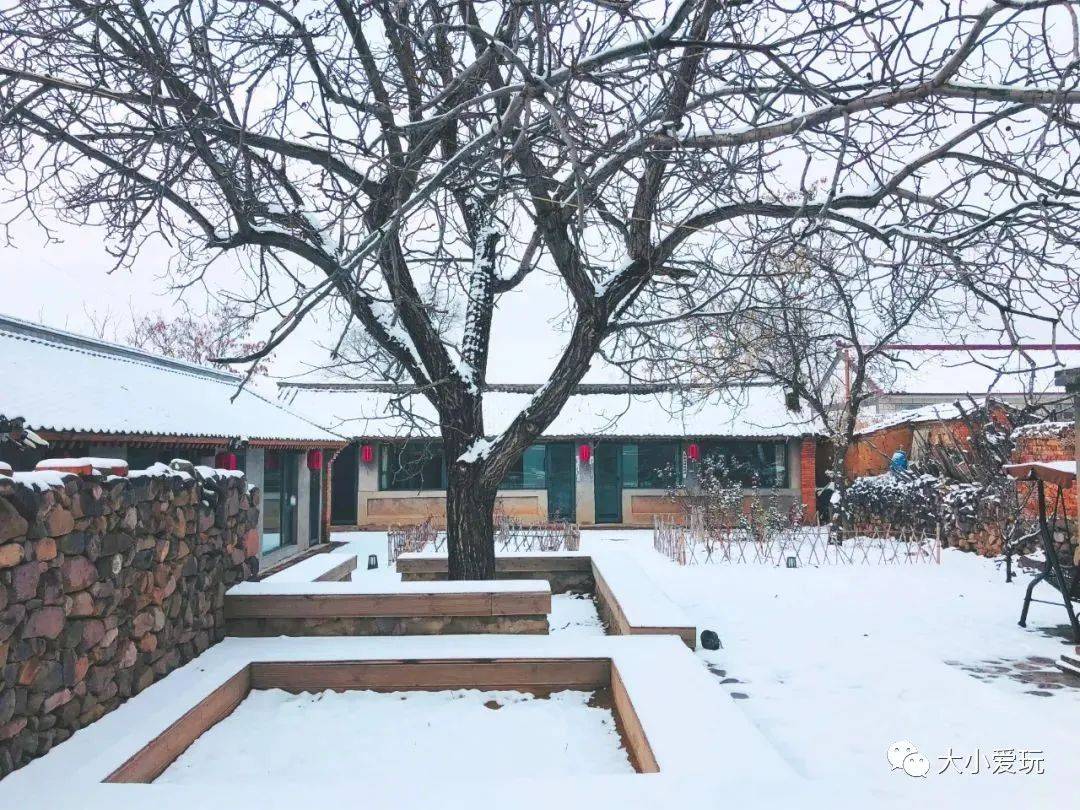 不出京消耗娃无处安放的精力冬天我们就是要窝在院子里