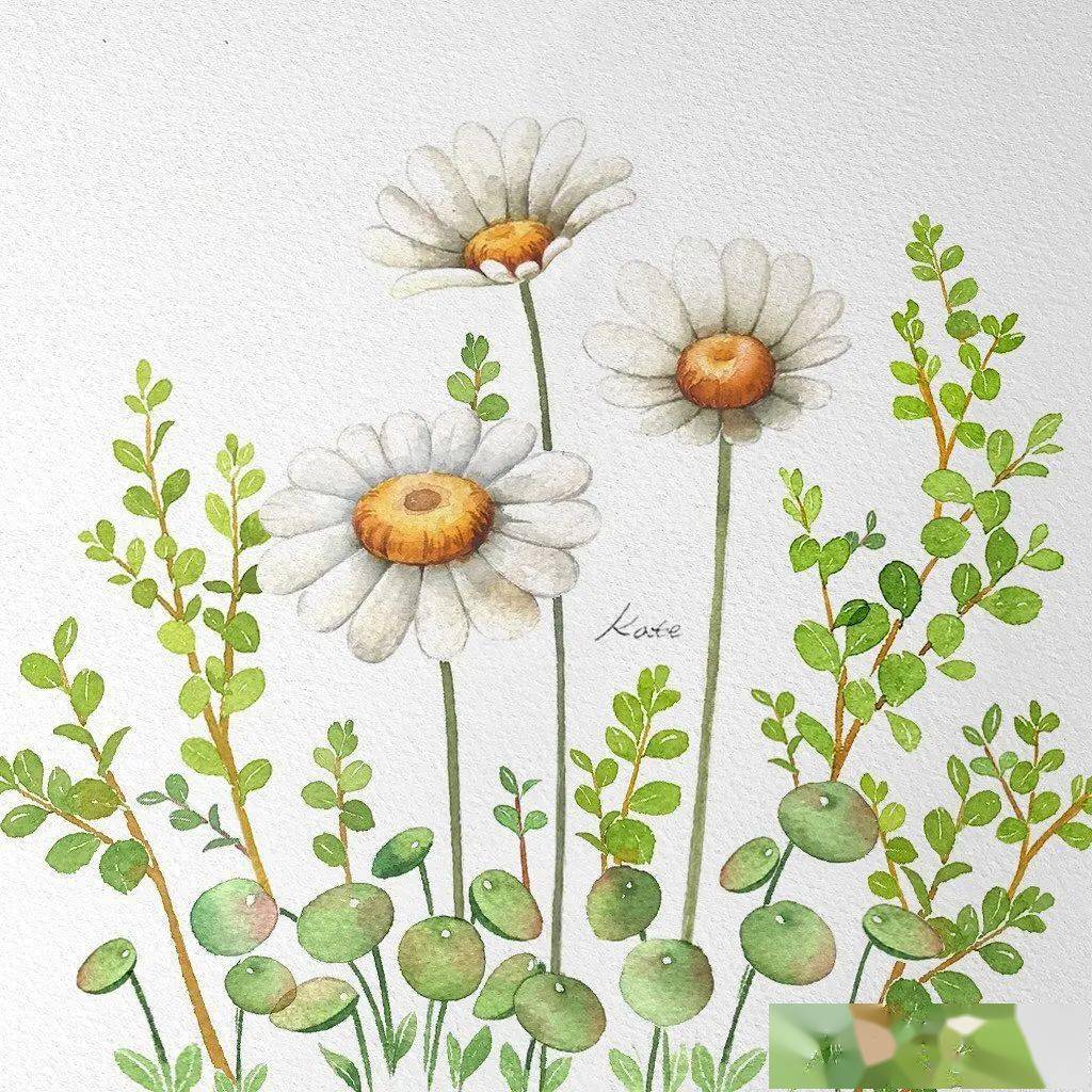 一看就会一画就废戳这里教你简单轻松3步练好水彩植物花卉附视频教程