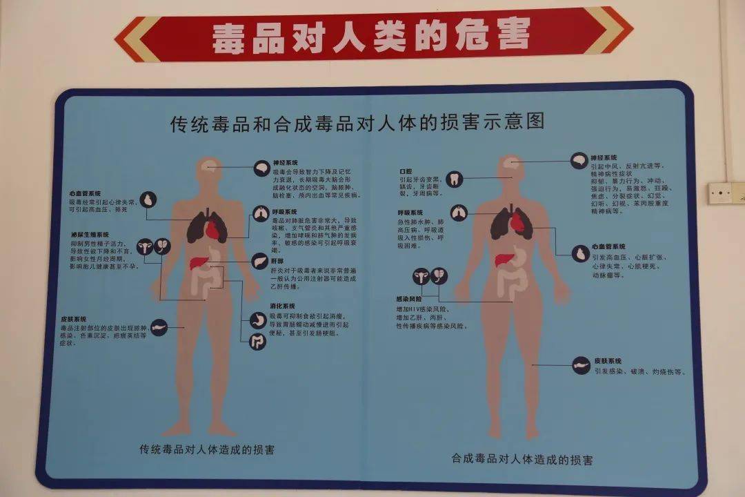 围绕毒品类型,危害,识毒技巧,吸毒后模拟反应体验等知识,走进南海外国