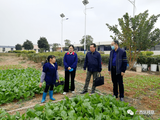 钦州市钦北区残联检查残疾人辅助性就业工作百色平果市残联到特殊教育