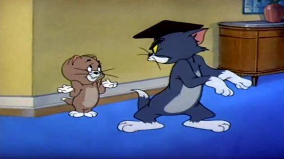 大洋芋老师教小猫咪抓小米渣大洋芋被虐了爆笑来袭