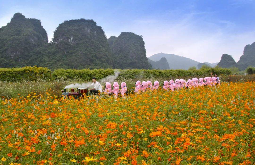 成团邂逅童话1月16日在逃公主的童话小镇英德巧克力王国峰林小镇乘小