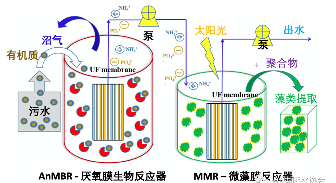 污水资源回收厂新尝试厌氧膜生物反应器anmbr微藻膜反应器mpbr
