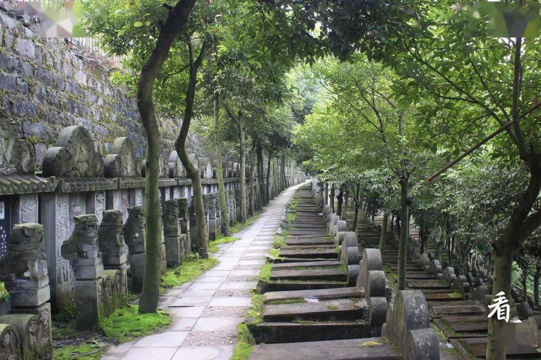 当我走进凤凰山墓区,他告诉我:"死就像关灯一样,灯一关,就什么都没有