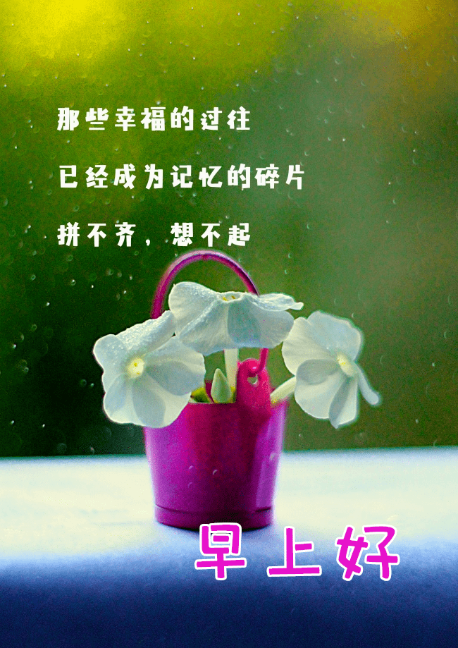 1月16日最漂亮早上好动态表情图片大全,早晨好动图美图大全