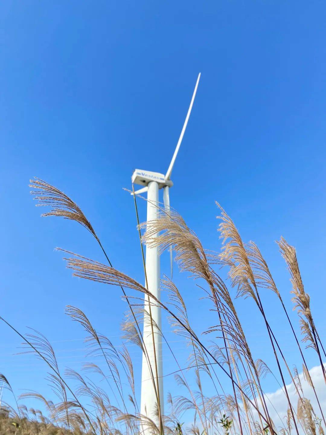 2021就在矾山过年吧