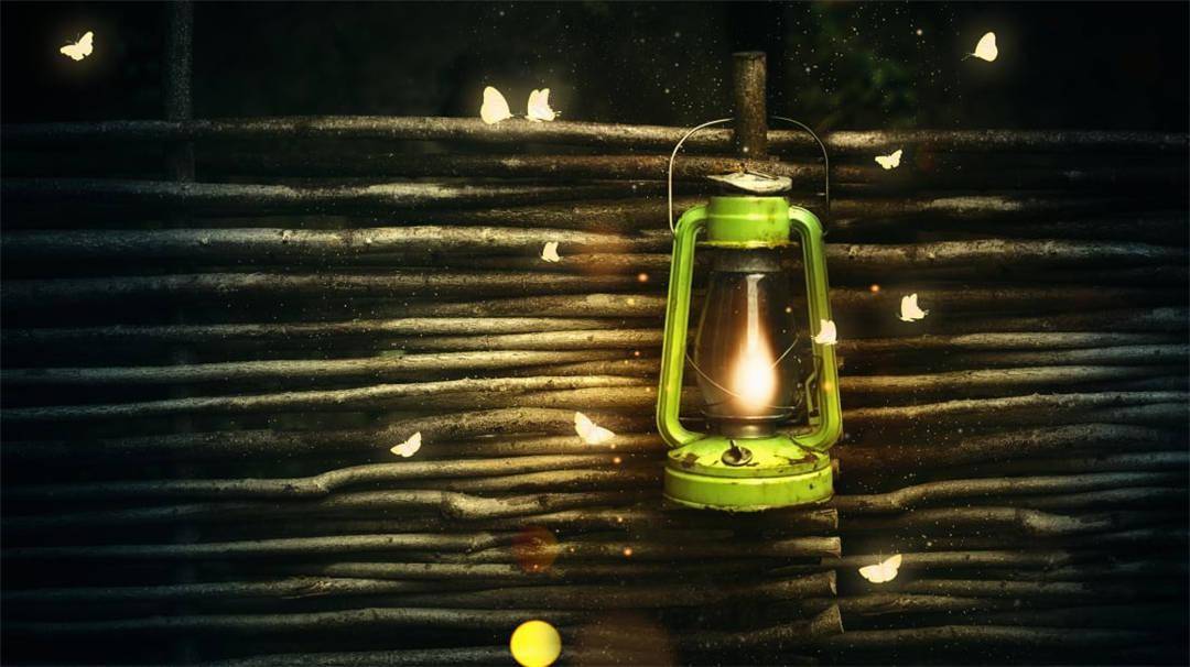 不是所有飞蛾都扑火,有的用光照亮"餐桌",有的会主动躲避