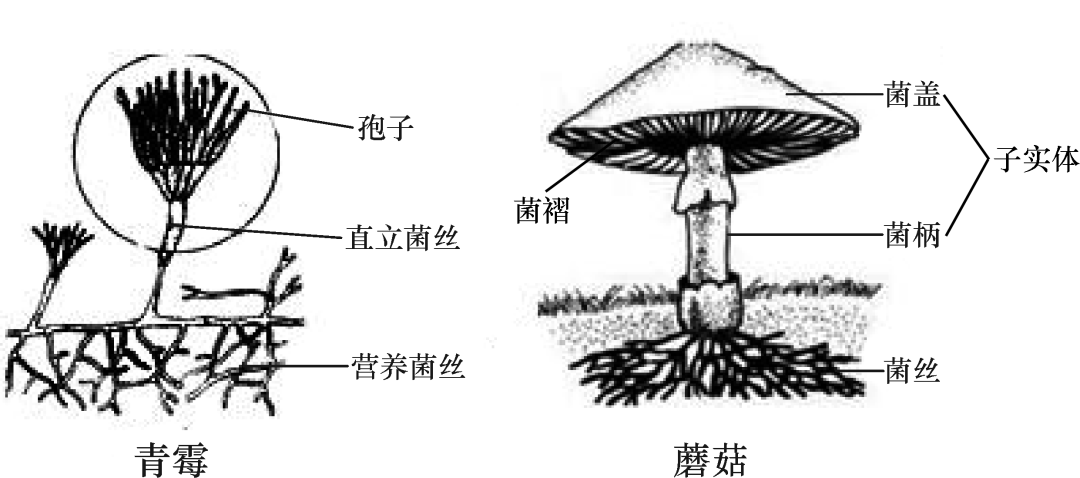 6a77189197e14dd5aa5af68cb00bfb8f.png