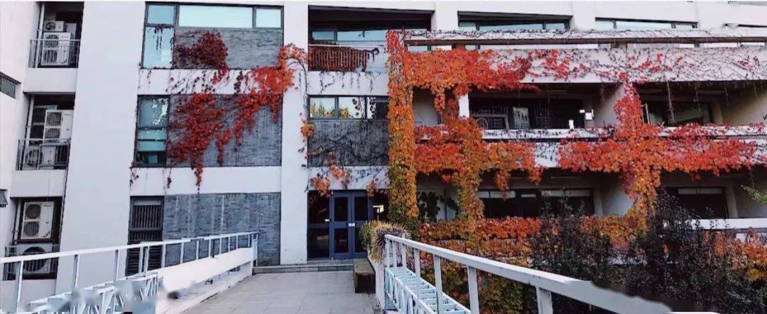 优秀学员张心远——顺利录取中央美术学院城市设计的她来告诉你,学