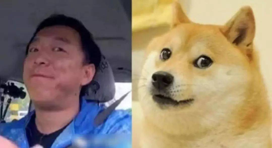 楊丞琳曬出一張照片引起全網爆笑：這是李榮浩的娃嗎？哈哈哈哈哈！ 萌趣萌寵 第31张