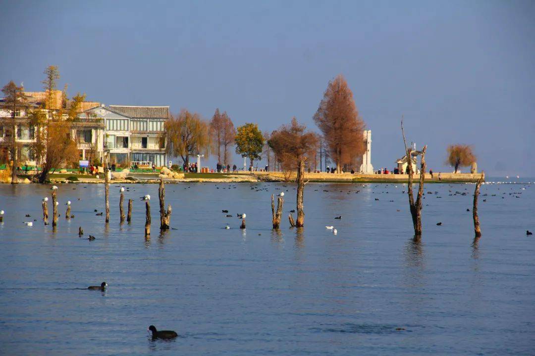 【行摄云南】在龙龛,心花怒放