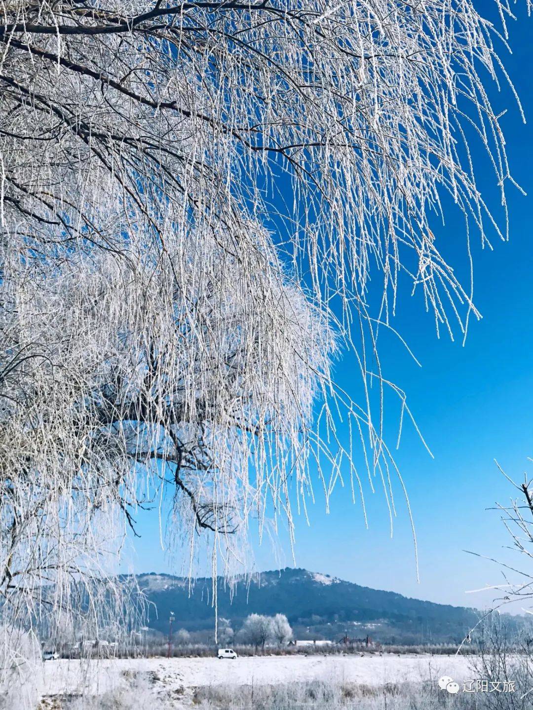 雾气沆砀图片