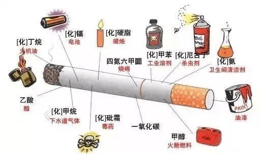 什么叫代偿机制 ff21735bdfa84ab5bf23292568de6697.png