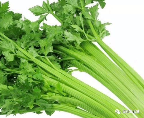 哪些食物可以减少胰岛素分泌 41bf8e6a8d3b4e74bb0aeef01d23ad36.png
