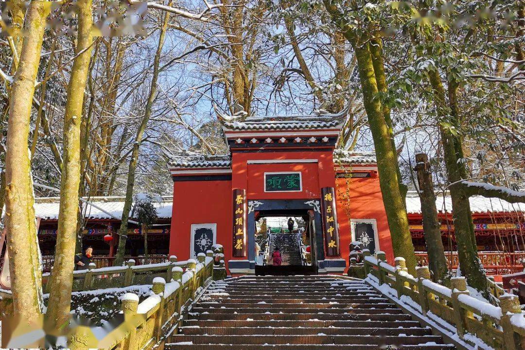 寒潮抵川蒙顶山又双叒叕下雪啦