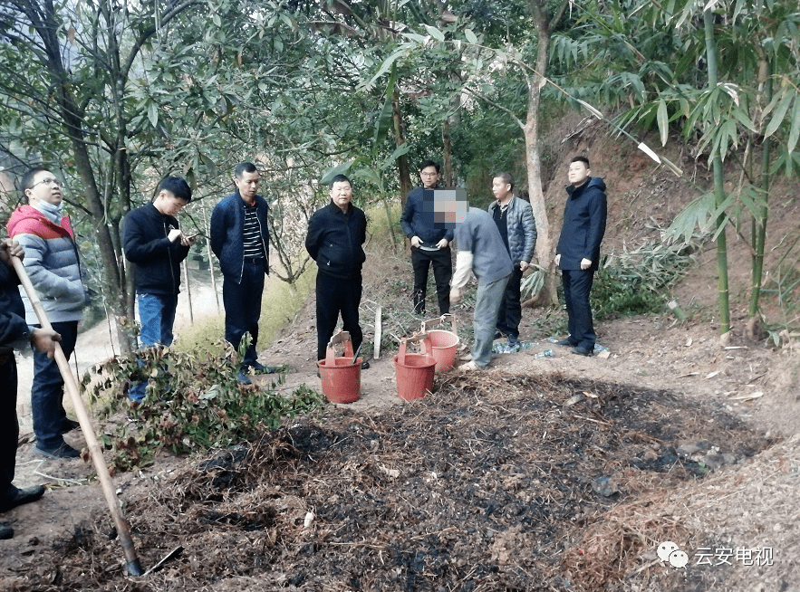 云安区委常委,区委办主任李冠周在森林防灭火巡查时发现高村镇辖区内