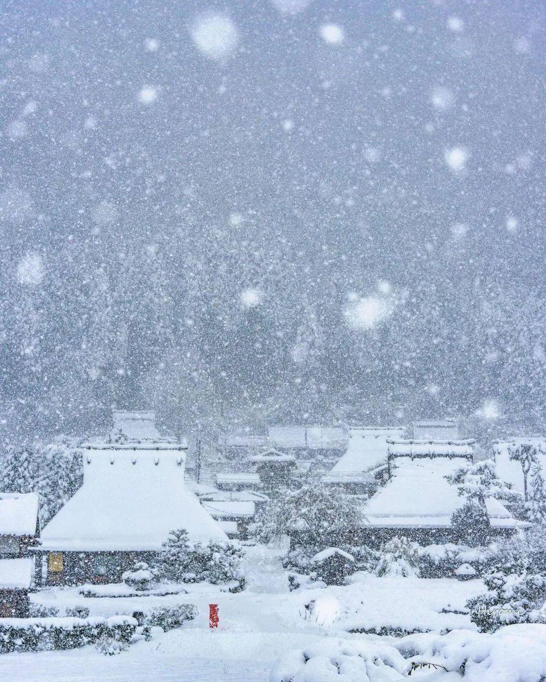 冬天的景色飘雪图片