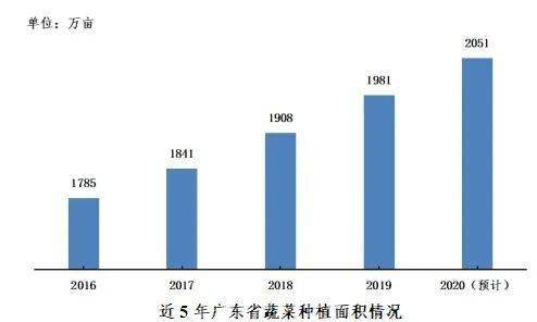 2020年蔬菜种植规模稳步提升(图1)