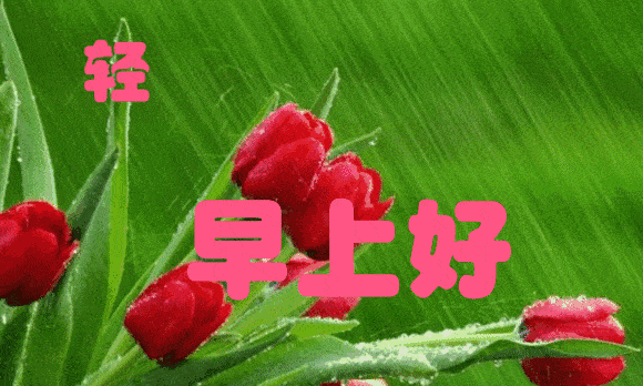 580_348gif 动态图 动图