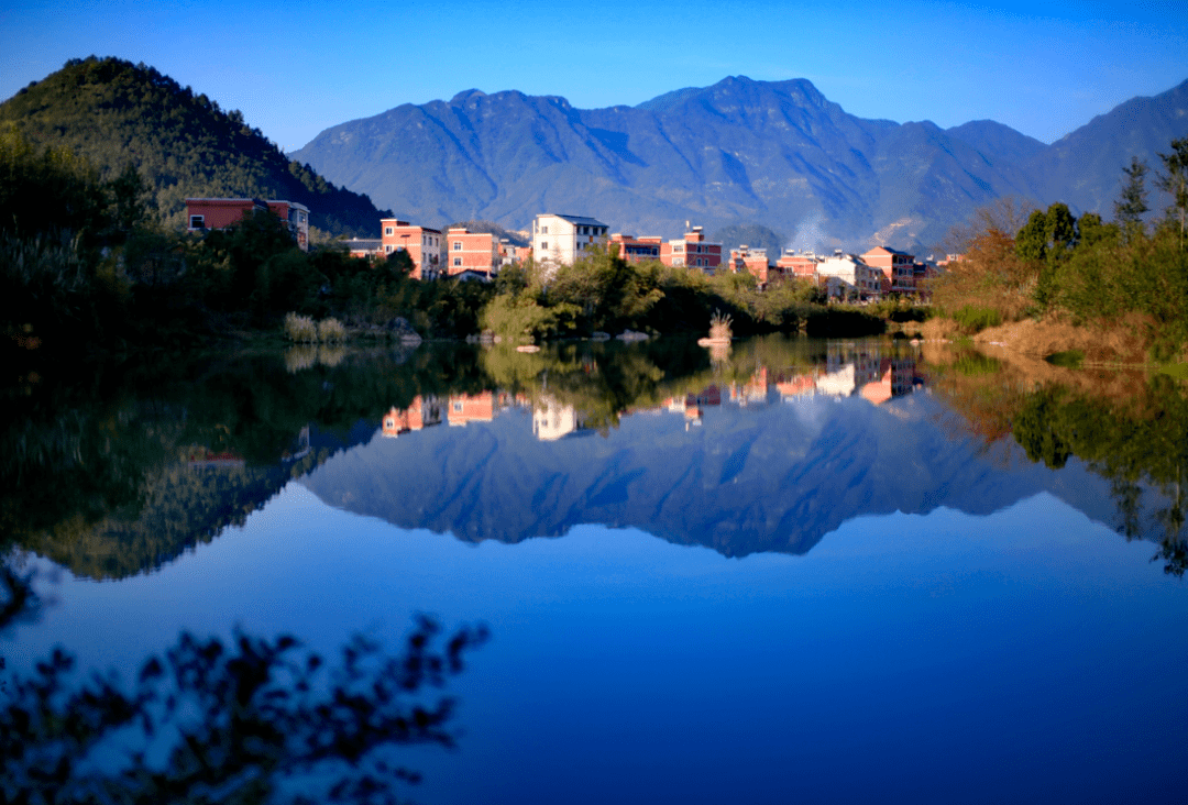 美丽产业花园乡村庆元县高质量推进百山祖国家公园农旅融合乡村振兴