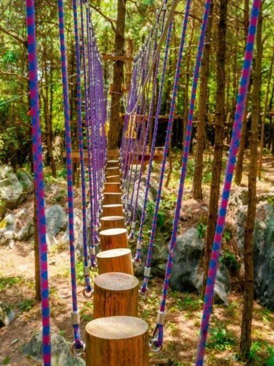 重重障碍 既刺激又冒险 各种各样的障碍融于丛林之中 悬空的桥梁,木桩