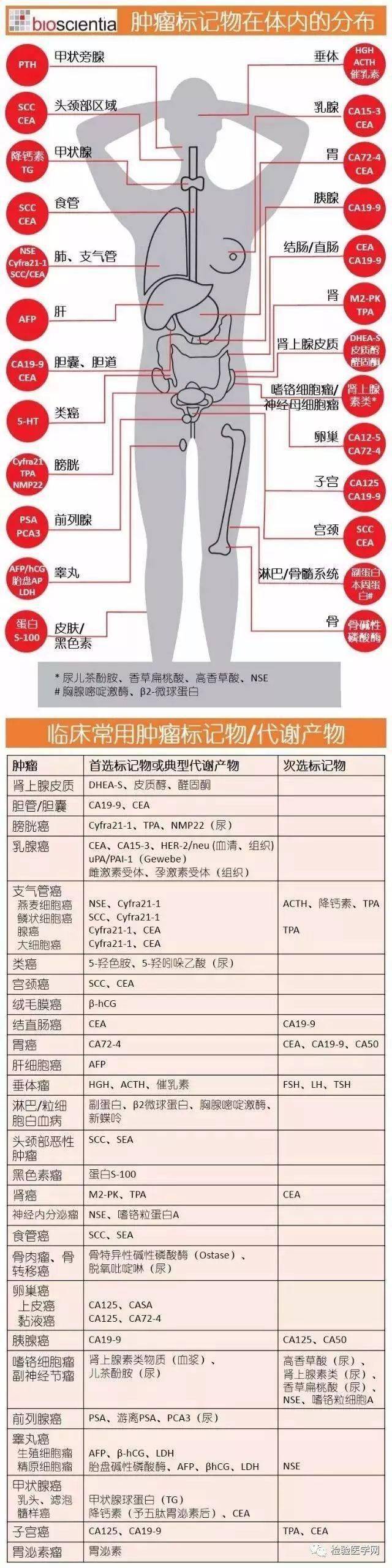 肿瘤标志物一览表图片