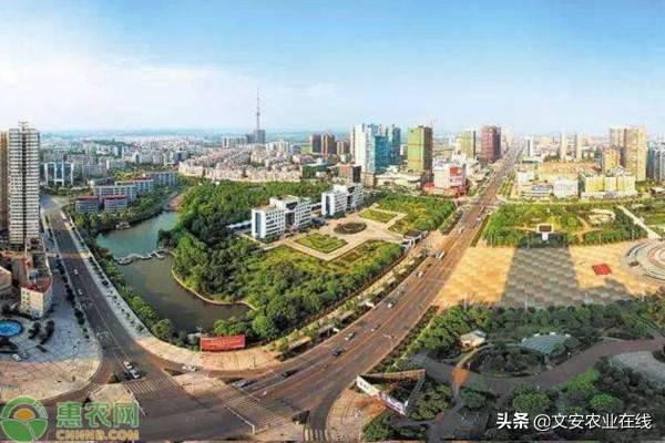 2020gdp城市增速排名_中国2020gdp增速图