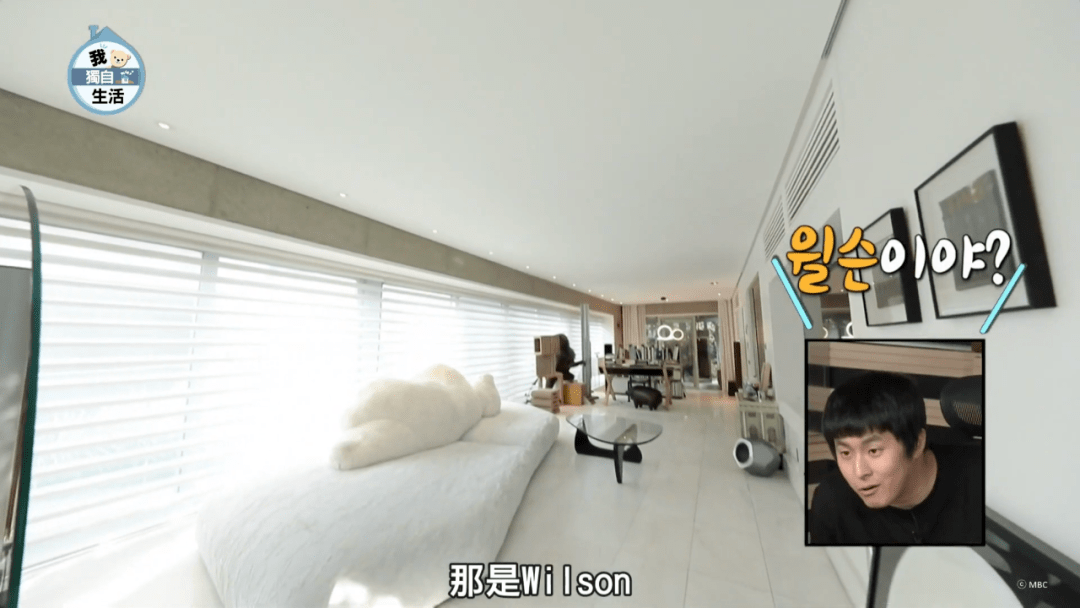 影帝刘亚仁的58亿豪宅连猫都有独立卫生间