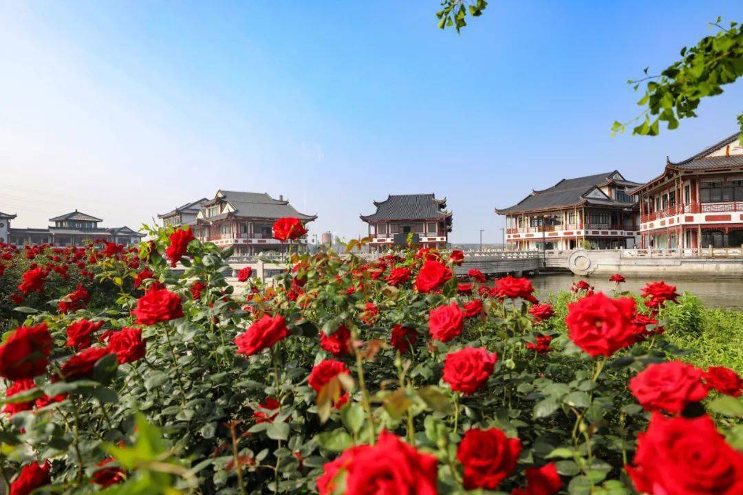 花伴湾共享农庄入选2020年苏州共享农庄!