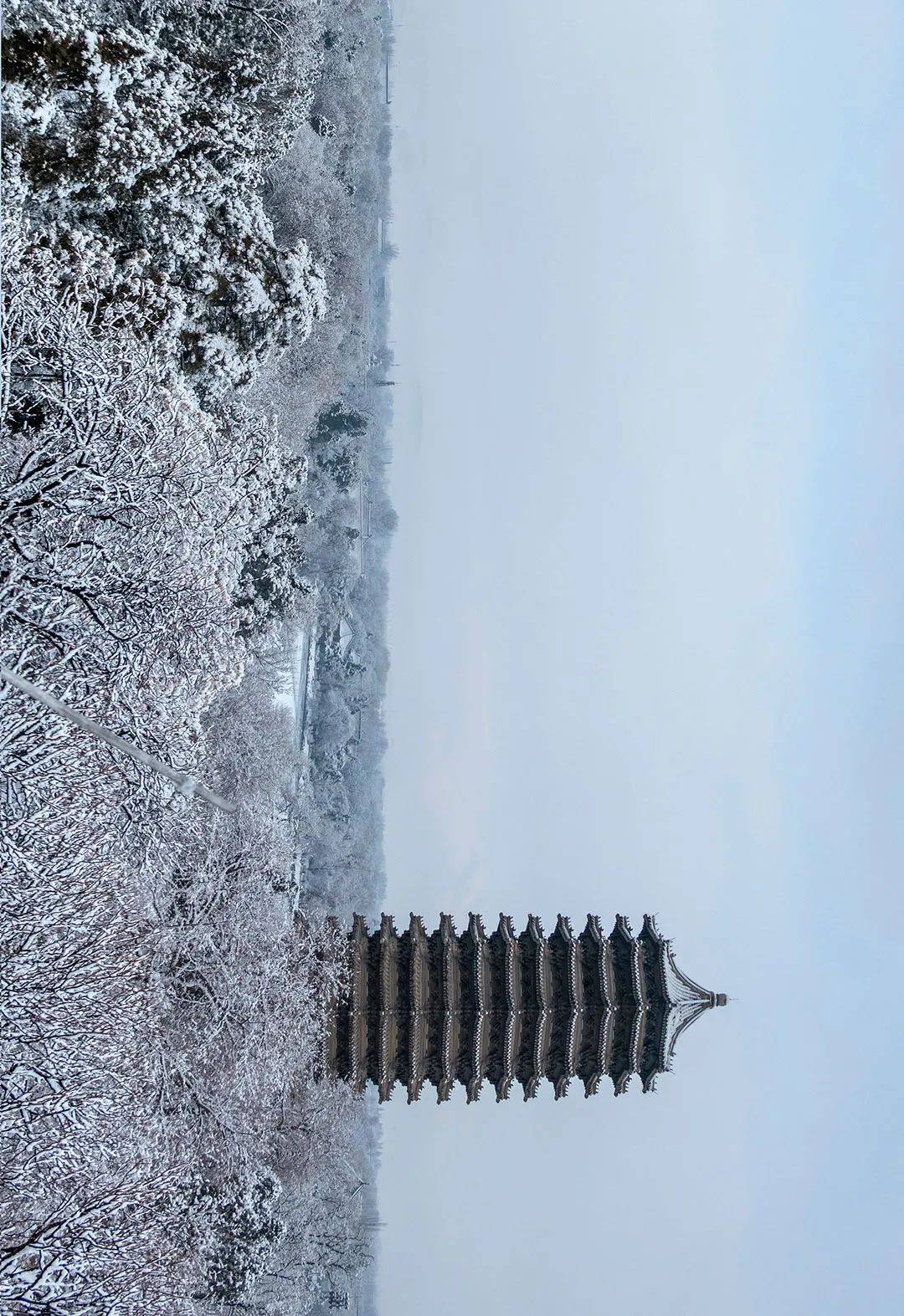 落雪新晴 2021年的初雪 一夜飞庭舞流霰  满园玉树琼枝开 看红楼飞雪