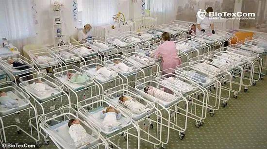 马来西亚代孕价格_代孕妈妈遭遇_代孕产业链