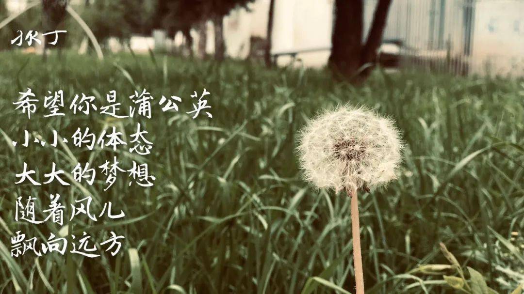 623678c20d5f4b7383b31acc3f724a65.jpeg