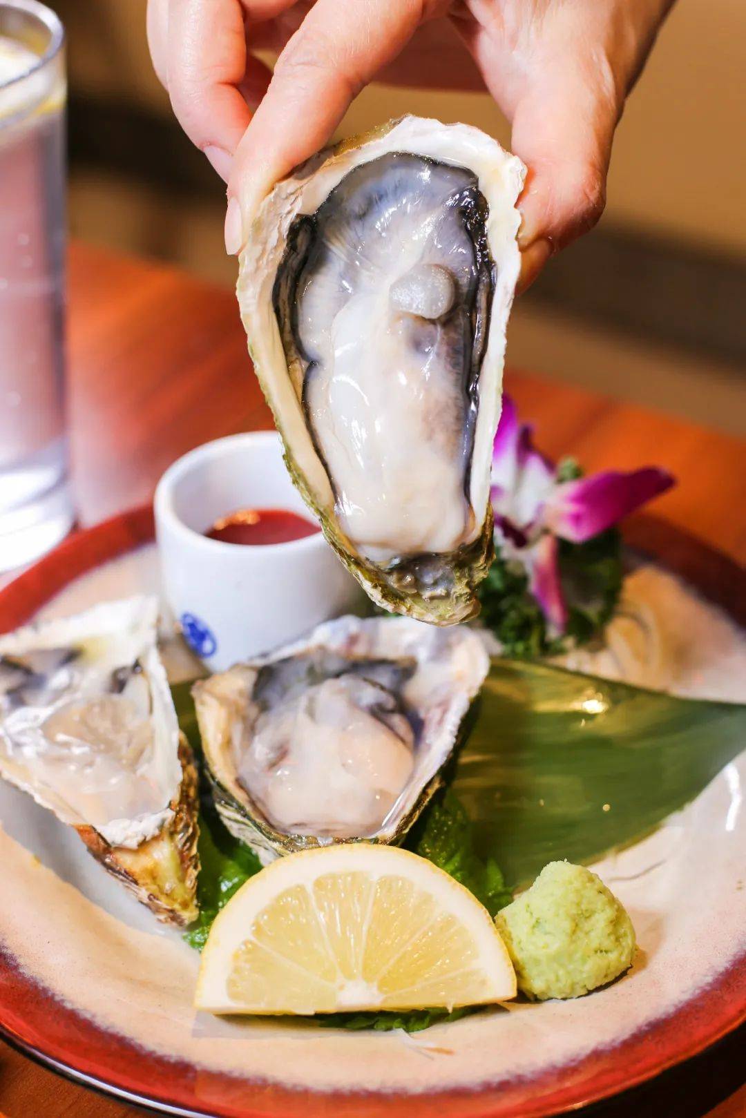 坐「飞的」来的广岛生蚝,日料盛宴一次满足你!