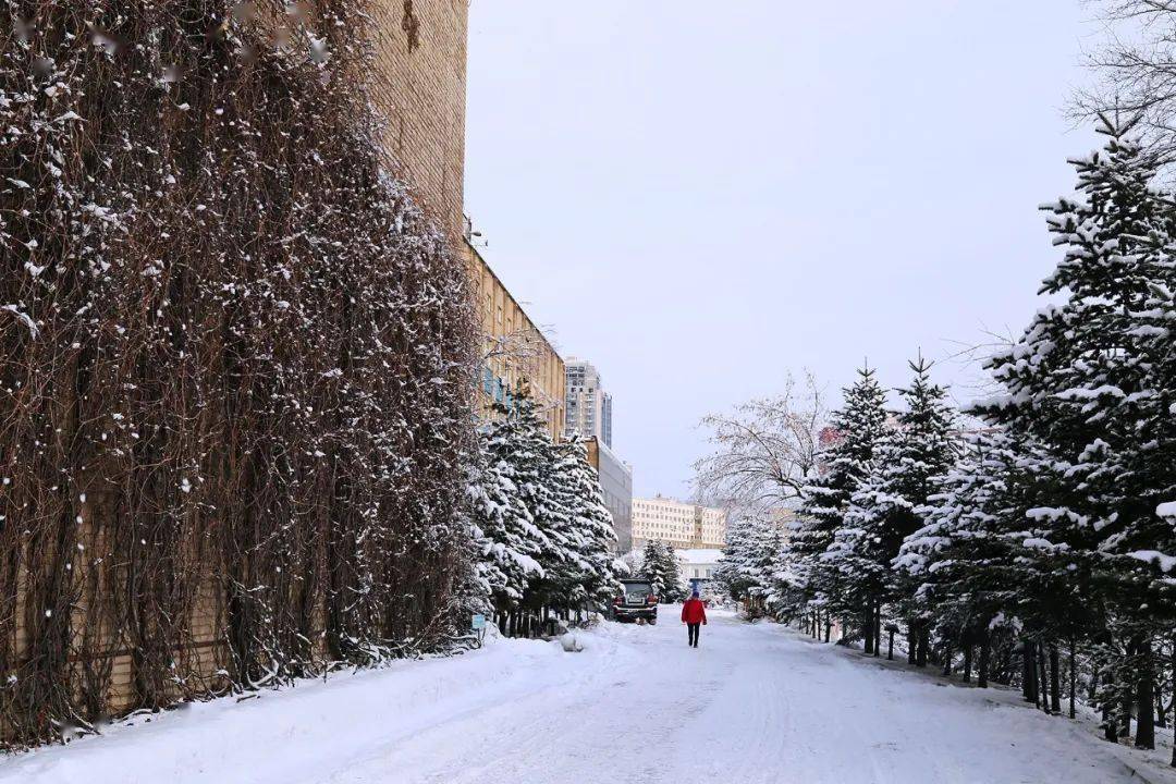 冬天美麗如畫的風景: 符大校園新年初落雪