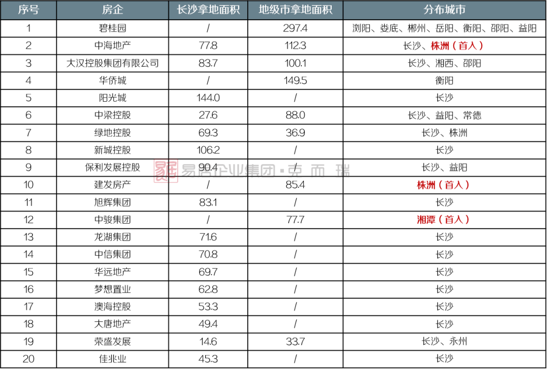 2020年第一季度各市g_2020年各大手机背面图(2)