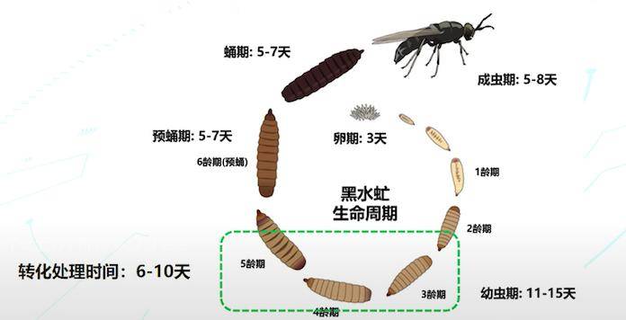 主战场|面向国民经济主战场 中科院集中发布一批应用科技成果