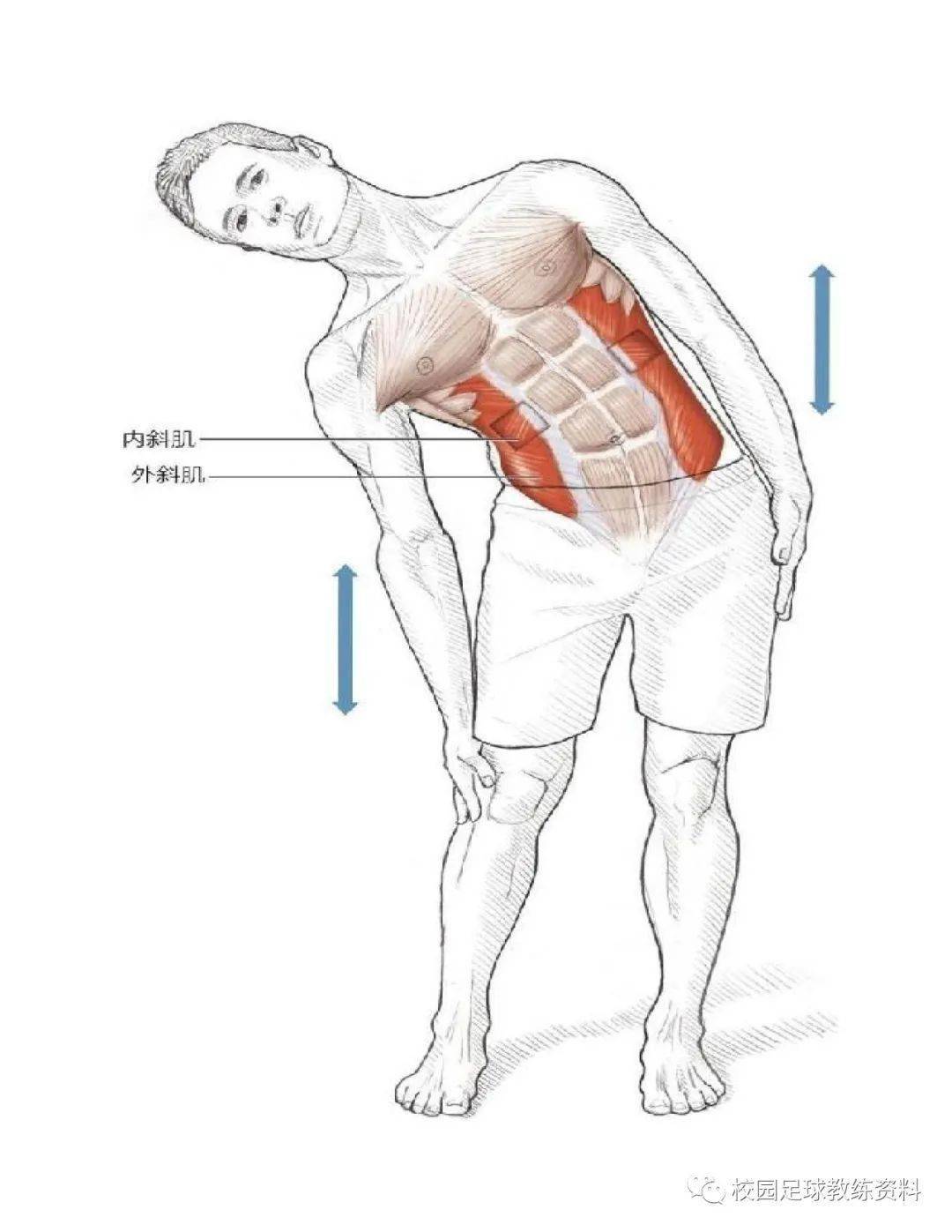 拉伸运动系统训练