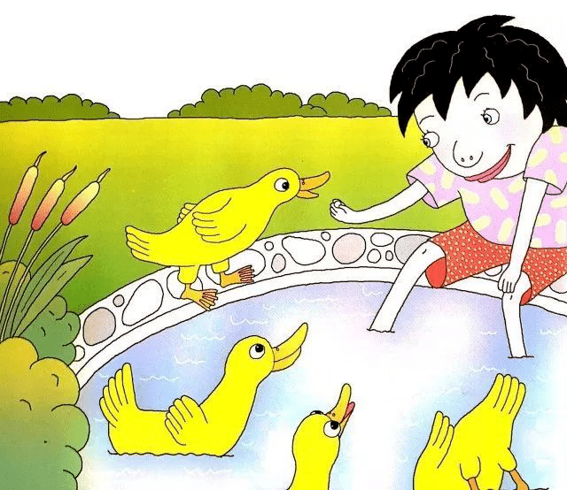 thursday four ducks came home with mum 星期四 妈妈带回家四只小