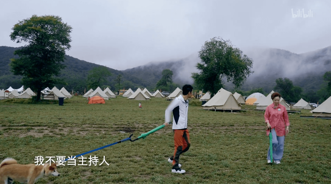 趣味凡尔赛思辨金句在你好生活第二季如何诗意传递爱与真实
