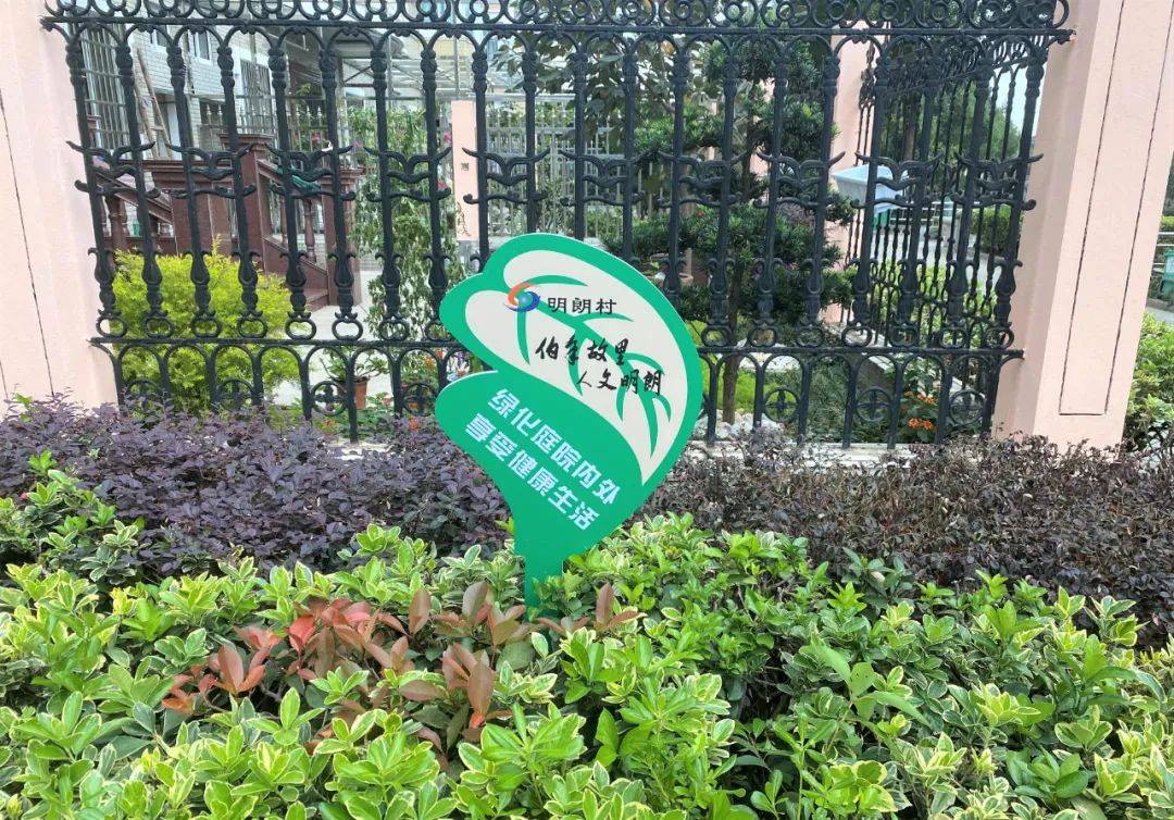 美丽家园美好生活瓜沥镇明朗村团结一心建设宜居美丽家园引领文明美丽