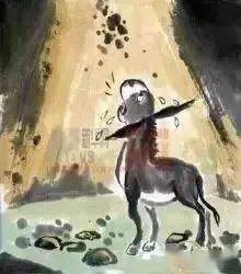 郁闷的时候,看看这头犟驴