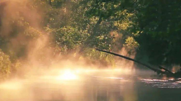 阳光明媚简谱_阳光明媚图片(3)