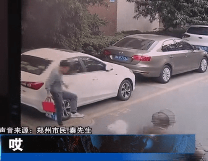 男子被要求向狗道歉！