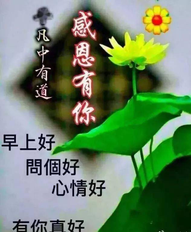 朋友圈溫馨的早安祝福圖片精選微信請晨早安問候語句大全