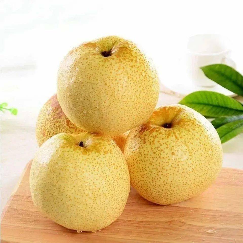 砀山酥梨栽培历史悠久