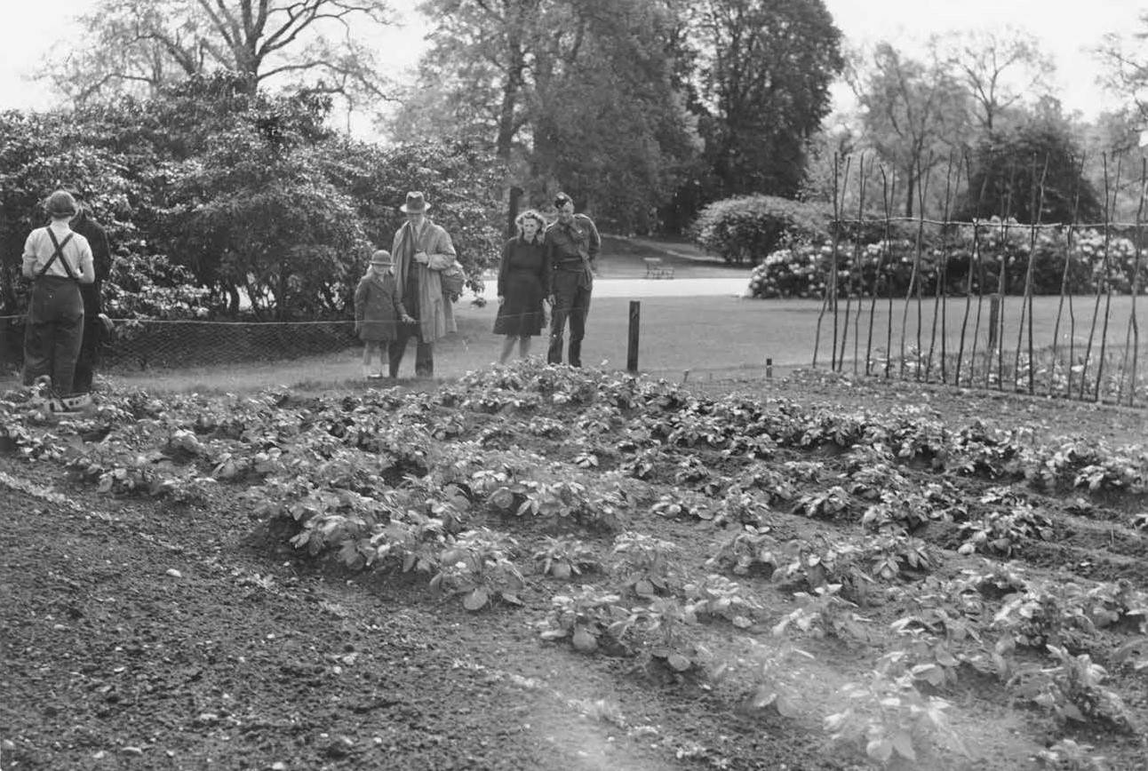 两次世界大战中，女园丁们是怎样进入英国皇家园林工作的？