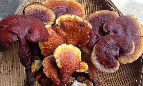 收藏谷城年味来了美味特产过大年